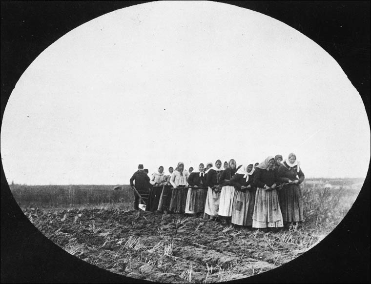 Des femmes doukhobors labourent la prairie en tirant elles-mêmes une charrue, colonie de Thunder Hill (Manitoba)