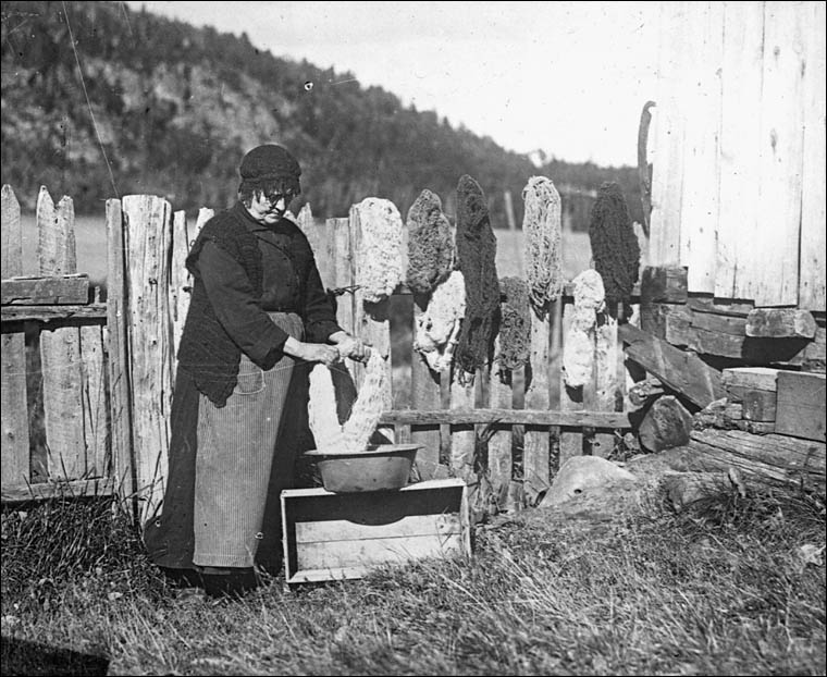 Lavage de la laine, Cap-à-l'Aigle (Québec)